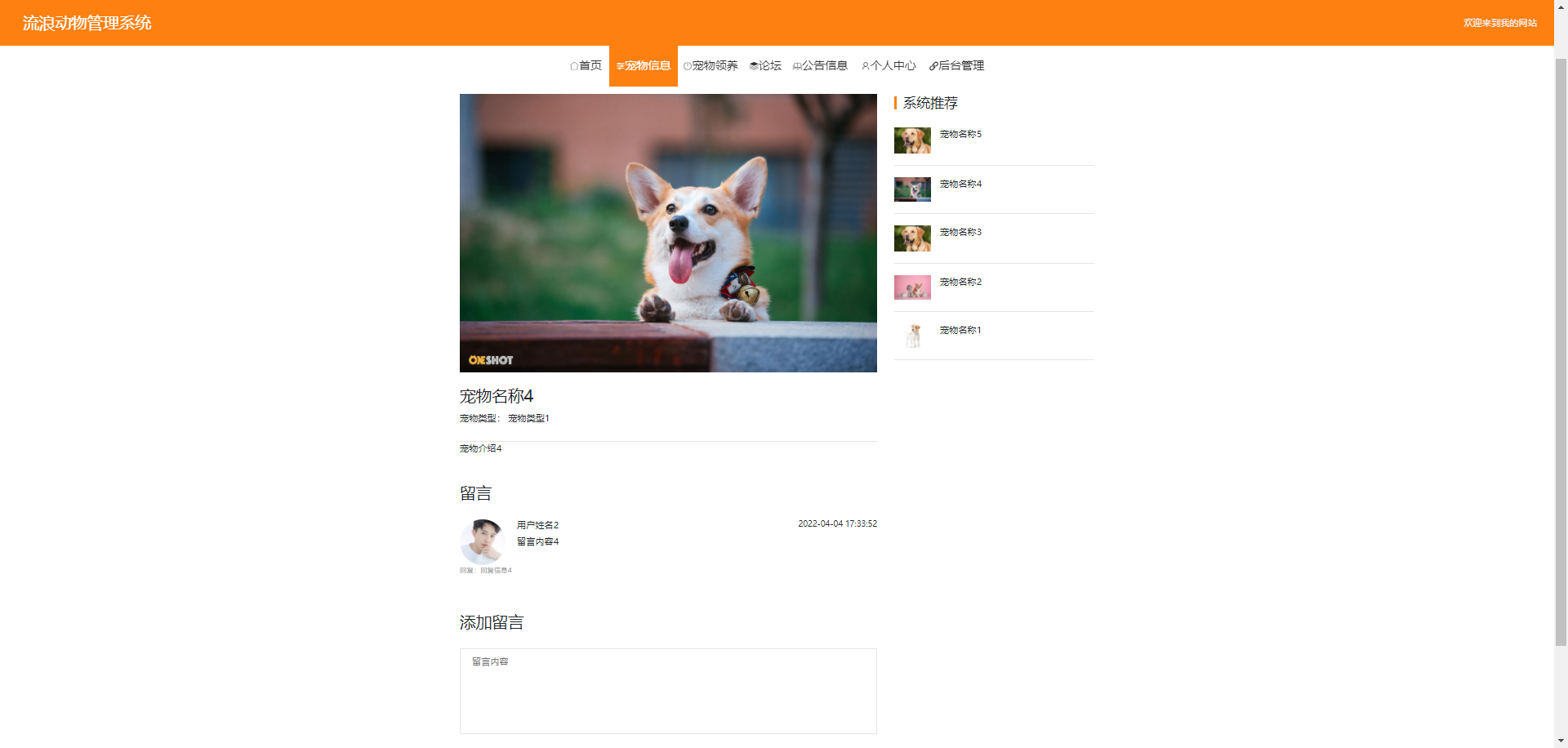 springboot277流浪动物管理系统10